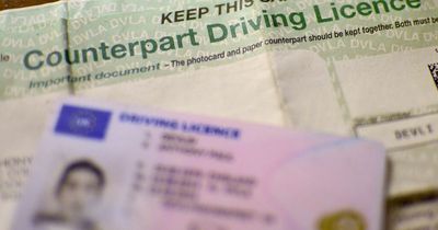 Drivers face 12-week delays for licences as DVLA apologises