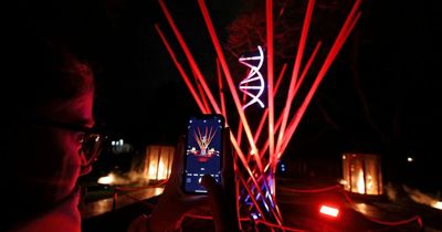 Belfast's Botanic Gardens Lights Display: What to know about the new immersive installation - dates, times and ticket prices