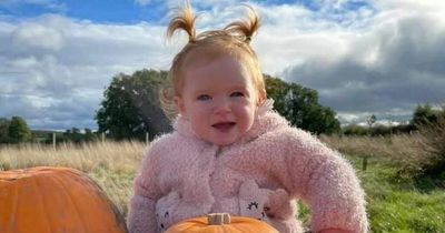 Family of 'beautiful baby girl' killed in horror crash say loss leaves 'huge hole'