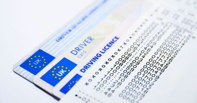 DVLA apologises for 12-week driving licence delays