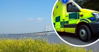 Driver taken to hospital after serious lorry crash on M4's Prince of Wales bridge