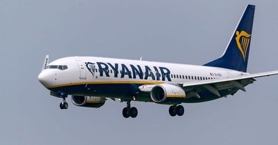 Passengers 'roaring' as Ryanair flight into Ireland aborts landing at last second in stormy weather