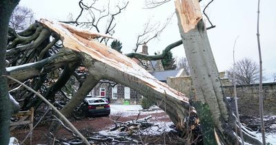 Railway companies tell passengers 'Do Not Travel' because of danger to life from Storm Eunice