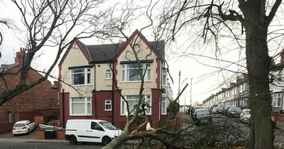 Man's three months battle with Halifax as home damaged in Storm Arwen