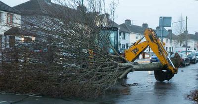 Met Eireann extends RED warnings to another two counties as Ireland braces itself for Storm Eunice battering