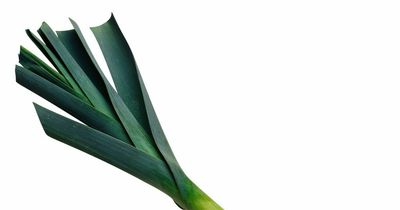 Welsh leeks to get protected status alongside Cheddar cheese and Cornish clotted cream