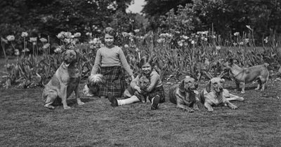Childhood pictures of the Queen with her corgis and other dogs