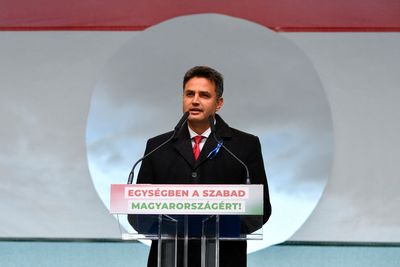 Hungary's opposition leader flags higher family subsidies, fight against graft