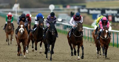 Racing tips and Friday Nap from Newsboy with fixtures at Kelso, Lingfield and Southwell