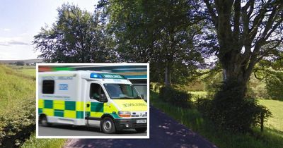Woman injured after car crashed into tree causing it to fall on Lanarkshire road