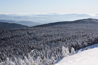 Parents arrested after leaving 2-year-old in freezing car to go skiing