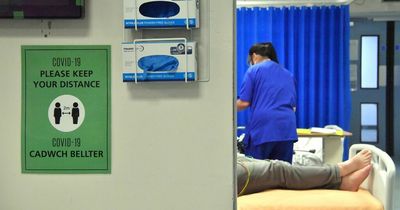 A quarter of a million people in Wales wait more than nine months for NHS treatment