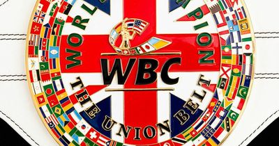 WBC create British-themed 'union belt' for Tyson Fury vs Dillian Whyte winner