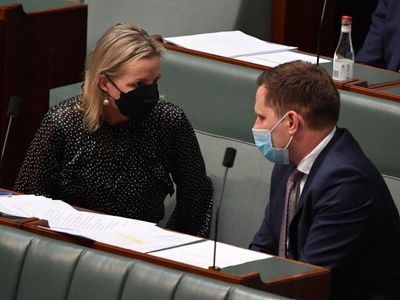 NSW Liberals weigh up federal intervention
