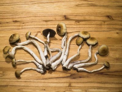 Psilocybin For Cancer Related Distress: Enveric To Launch Clinical Trial In Partnership With University of Calgary