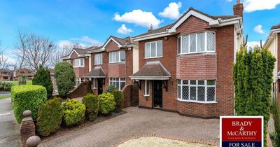 Dublin Dream Homes: Striking southside residence with a sunny conservatory for sale