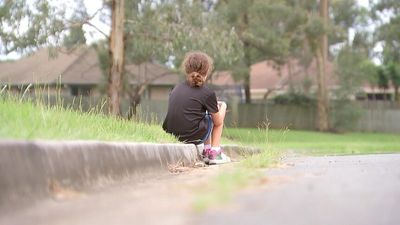 Child Death Review Board report into deaths of vulnerable children in Queensland expresses 'deep concern' over suicides