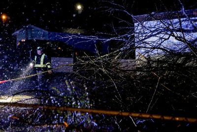 Possible tornado topples trees in central Alabama