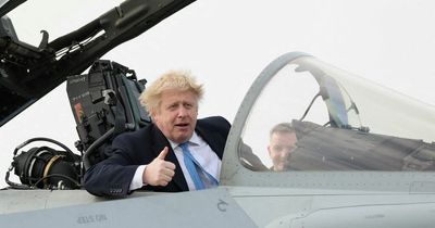 Tory government's 'oven ready' Brexit trade deal is a dog's dinner under Boris