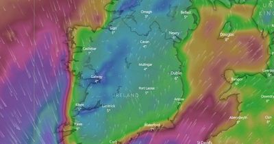 Met Eireann Ireland weather forecast blizzard-like conditions as Storm Eunice pummel the country