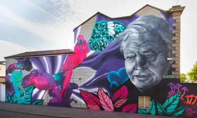 Dublin city council takes street artists to court over murals