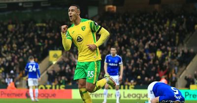 Blow for Ireland as Norwich striker Adam Idah ruled out for rest of season