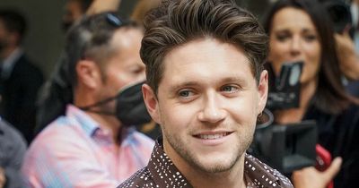 RTE Late Late Show guest Niall Horan becomes 'extremely ill' on flight