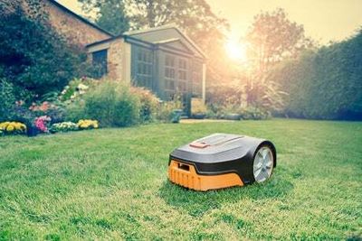 Best robot lawn mowers of 2024 reviewed