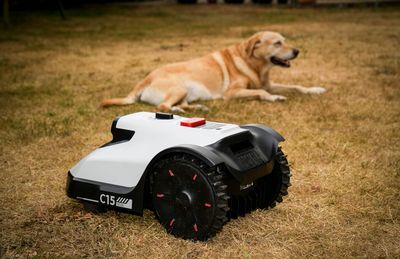 Best robot lawn mowers, tried and tested for effortless garden maintenance