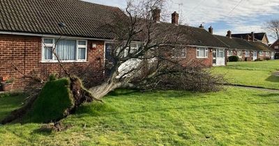 Storm Eunice: More closures of Nottinghamshire services, parks and attractions due to strong winds