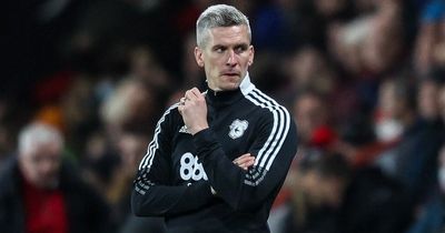 'I haven't got the time!' Cardiff City boss Steve Morison tackles head on his critics over methods