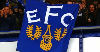 Everton supporters can have say on major boardroom decisions