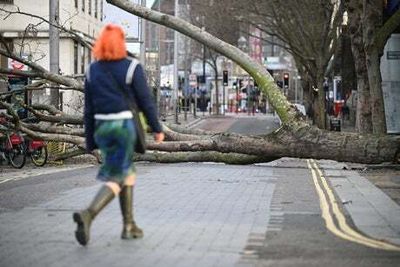 Storm Eunice roars into London at 100mph