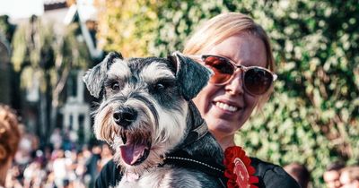 Huge new dog festival to take place at Malahide Castle this spring