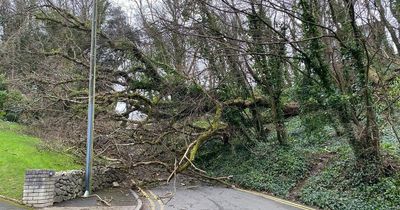 Widespread Storm Eunice warnings will have saved lives, says expert