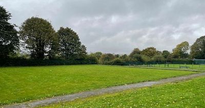 Hopes rise that Haslam Park could be SAVED from being ripped up for new school