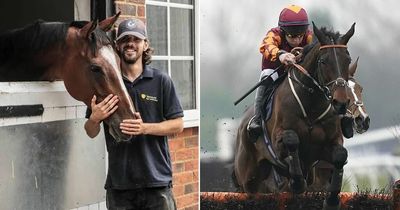 Trainer's horses racing in memory of stable lad and Chelsea fan who died aged 25