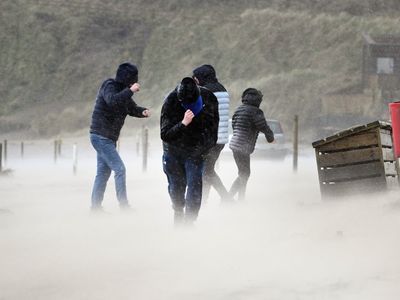 Storm Eunice claims first victim as man hit by falling tree in Ireland