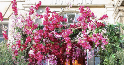 Edinburgh city centre bar opens Japanese garden for afternoon tea and cocktails
