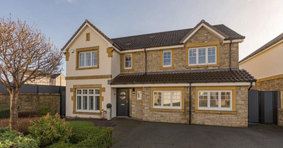 Eye-catching Edinburgh home with cinema room and integrated TV jacuzzi bath