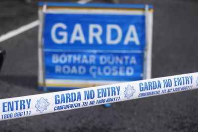 Woman dies after she was hit by a truck in Dublin
