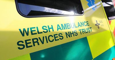 More to be done to help emergency services work together to save money says Audit Wales report