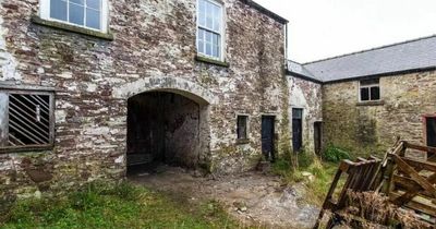 Empty townhouse with an abattoir at the back could become a cafe-bar, bakery, butchers' shop and offices