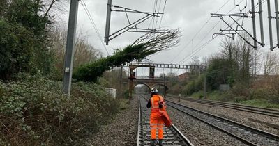 More wind on Saturday could hamper Storm Eunice clear-up, says Met Office