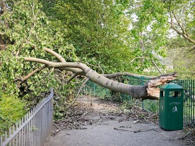 Storm Eunice: Are fences covered by insurance?