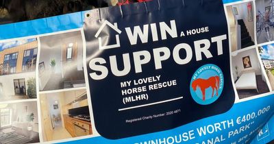 My Lovely Horse raffling 3-bedroom town house in north Dublin worth €400,000