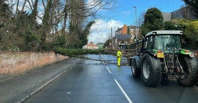 Met Office weekend weather forecast after Storm Eunice hit Nottinghamshire