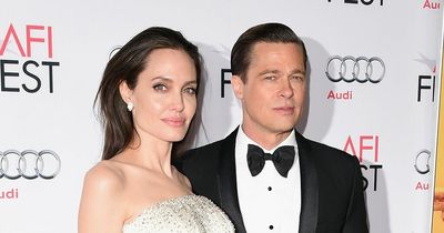Brad Pitt sues ex-wife Angelina Jolie for 'selling stake in their shared vineyard'