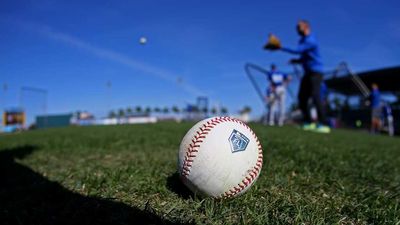 MLB Postpones Spring Training As Lockout Continues