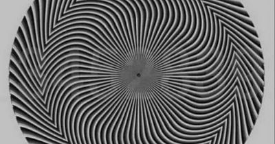 Optical illusion sparks furious debate as people divided over hidden numbers inside